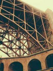 Peninsula Asteroid l