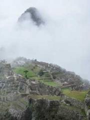 King of the Nine Pro