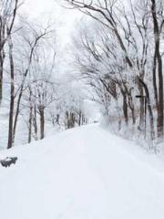 Falling for You: The