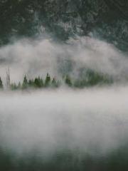 Transmigration: Feel