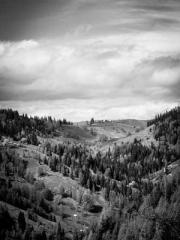 My husband is the Ki