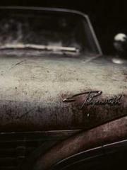 Spoil you in my arms