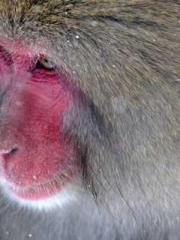 lt;Heavenly Fire Dyn