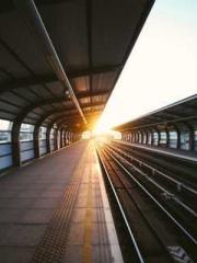 The Rough Man Hunter