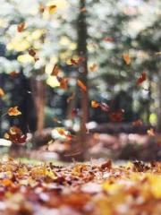 Shen Ning, Ran, Bo J