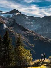 Falling for You: The