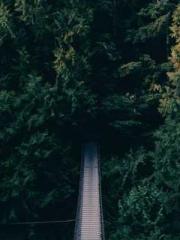 lt;lt;lt;lt;Yearning