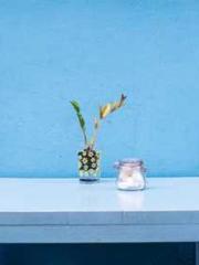 Super husband Lin Xi