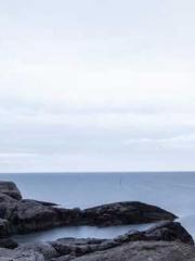 Transmigrated to the