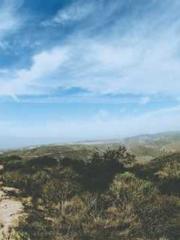 Wine, sex, money and