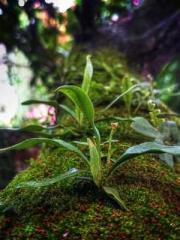 Fast Travel: The Vil