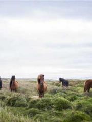 lt;Mr. Bao, Mrs. Bao