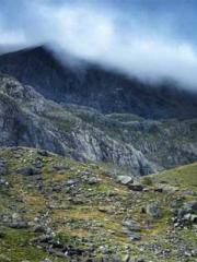 One Pregnancy, Two B