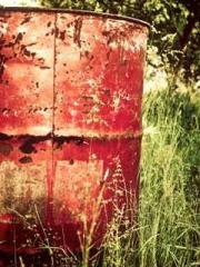 lt;Gingerly, Shen Qi