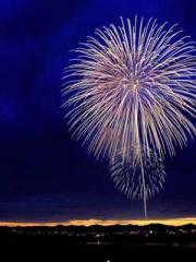 lt;lt;The Trash Husb