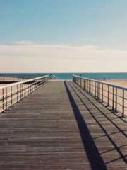 The Stand-in Wife Wa