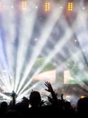 The Hardships of a D