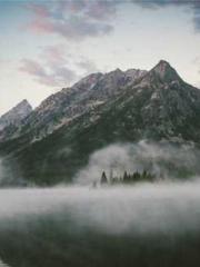 Mr. Gu, your wife is