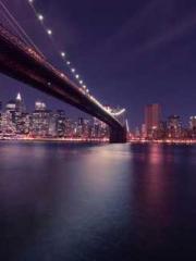 Become a big shot in