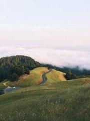 The young masterapos