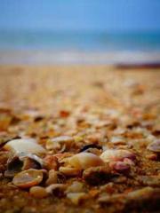 lt;The misfortune of