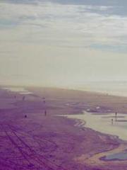 My pets are all amaz